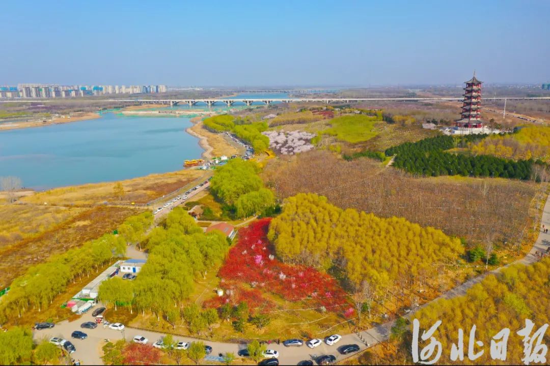 2023年3月18日,石家庄市滹沱河两岸春意融融.河北日报记者史晟全摄