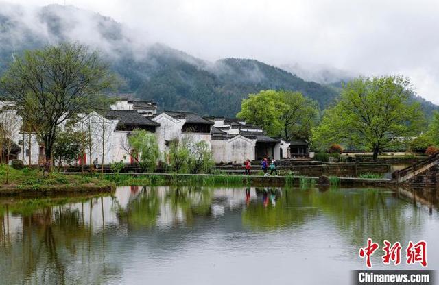 安徽黄山:古村染烟雨|黄山市_新浪财经_新浪网