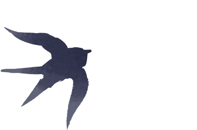 假期到副中心赏春踏青放风筝