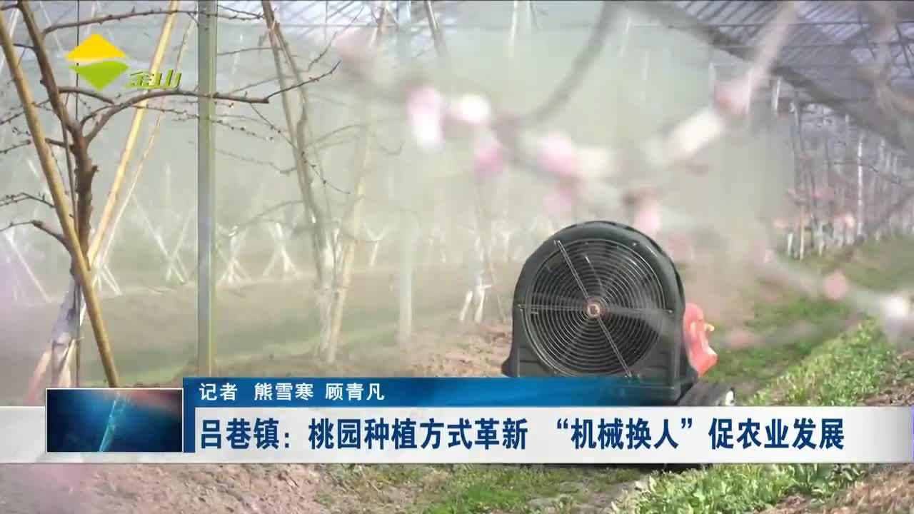 吕巷镇:桃园种植方式革新"机械换人"促农业发展