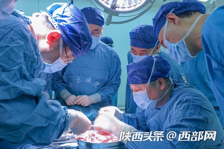 空军军医大学西京医院泌尿外科秦卫军主任、杨晓剑副主任等修整供肾。