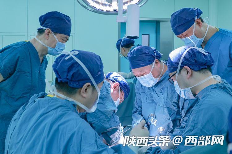 空军军医大学西京医院泌尿外科秦卫军主任、杨晓剑副主任、马帅军副教授等实施异种肾移植手术。