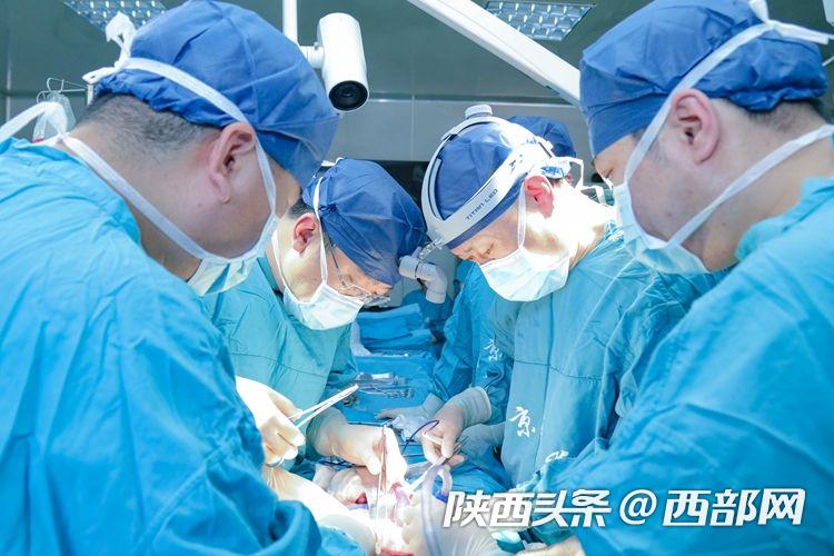 空军军医大学西京医院肝胆外科陶开山主任、泌尿外科杨晓剑副主任等游离、灌注、获取供肾。