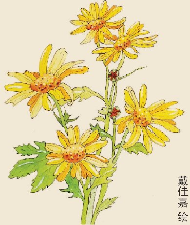 上海中医药大学附属岳阳中西医结合医院药学部副主任药师徐熠表示