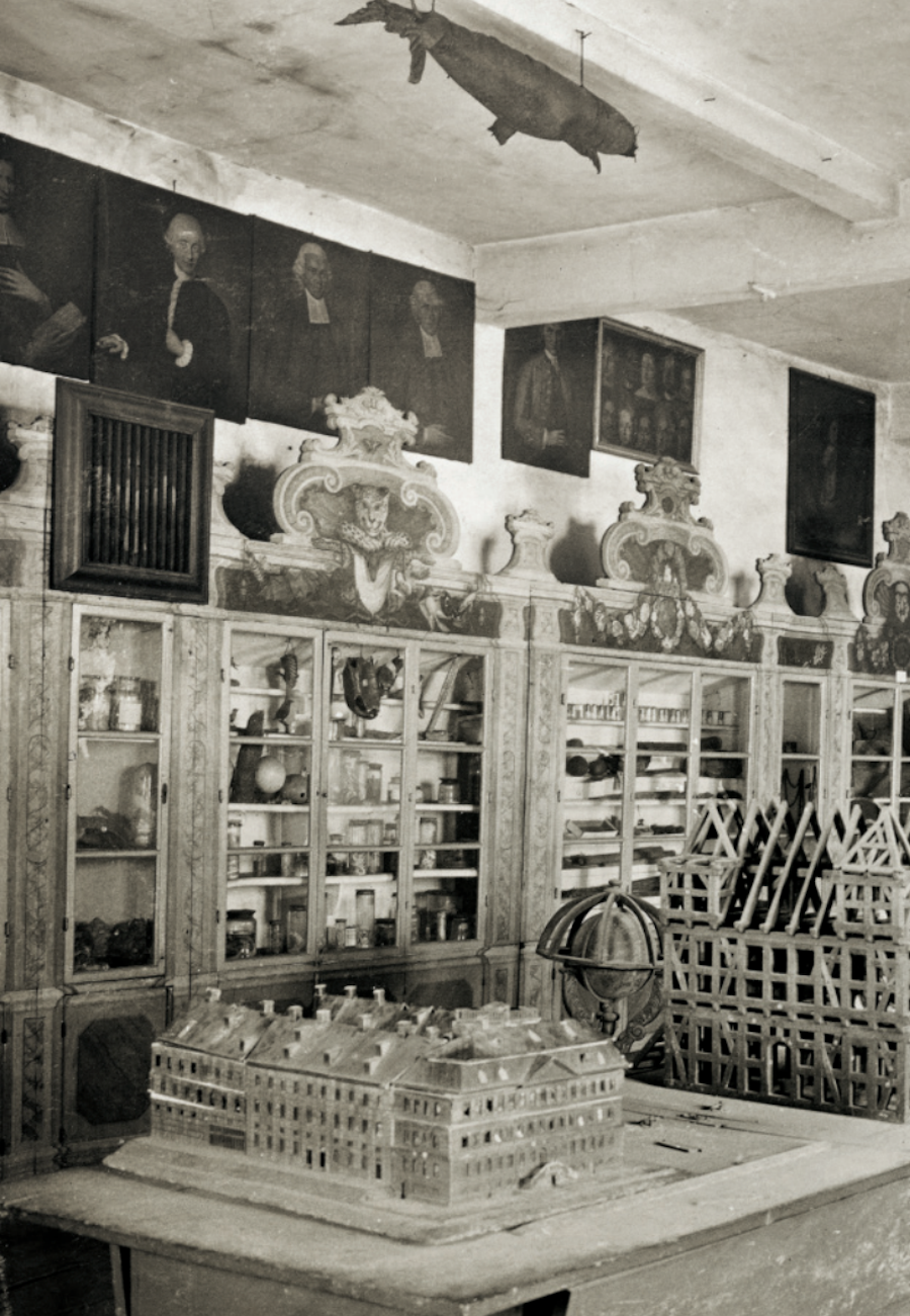 渴望在艺术与自然之间建立一致性的珍奇室|藏品_新浪