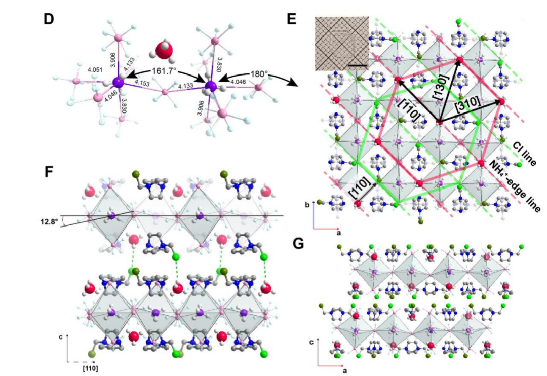 图丨 CL-v 相 2D 全有机钙钛矿的晶体结构描述（来源：Science）