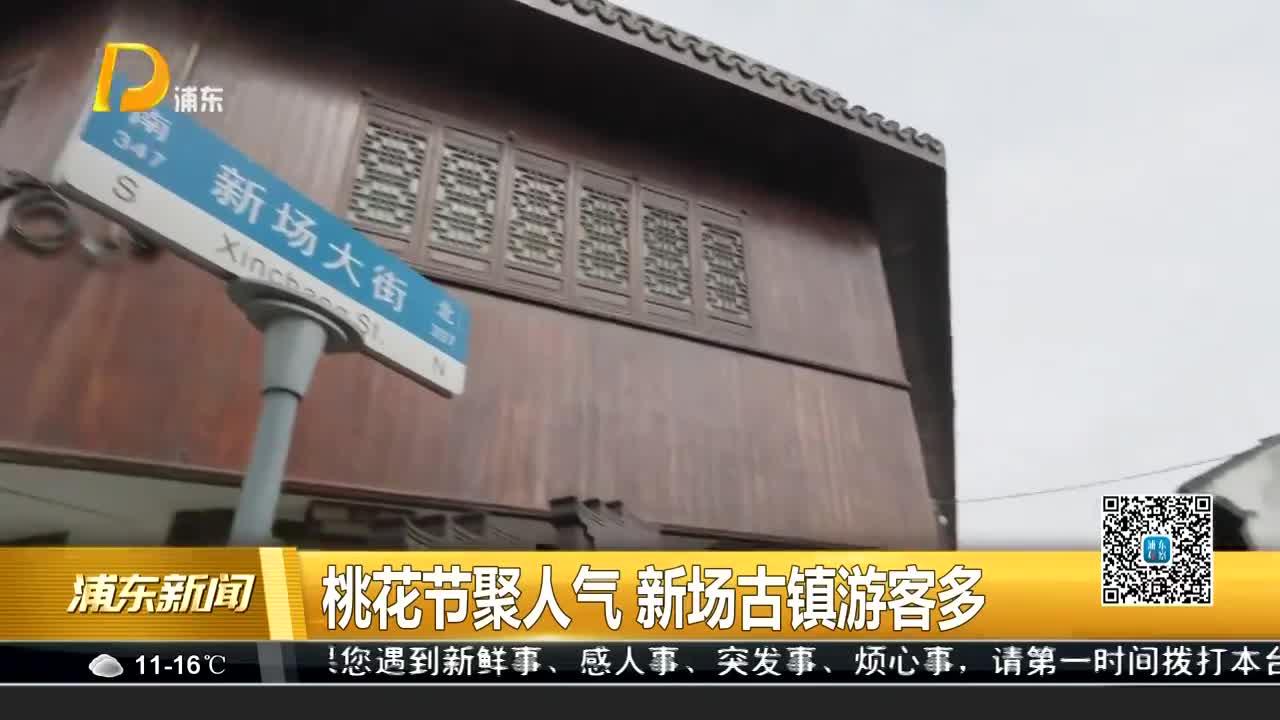 桃花节聚人气 新场古镇游客多
