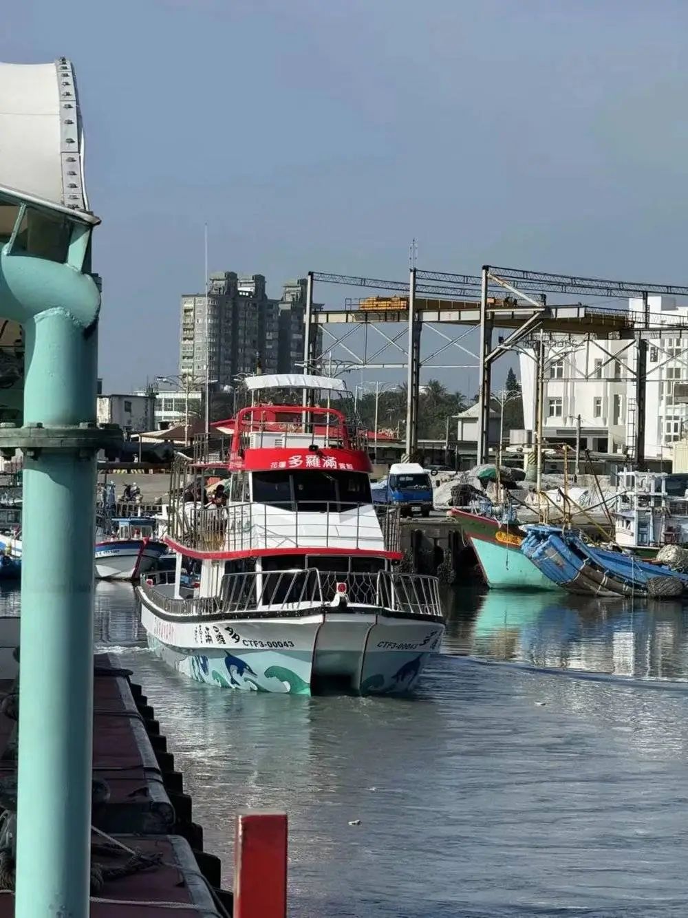 一位来自深圳的游客在赏鲸码头（图源受访者）