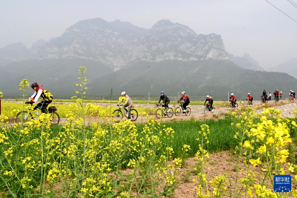 假期出游 乐享春光|浙江省|山东省|河北省_新浪新闻