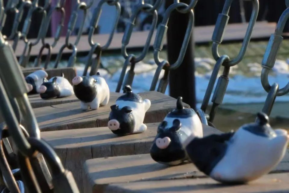 曾全网爆火的猪景房,暂不接受预定|金华市_新浪财经_新浪网