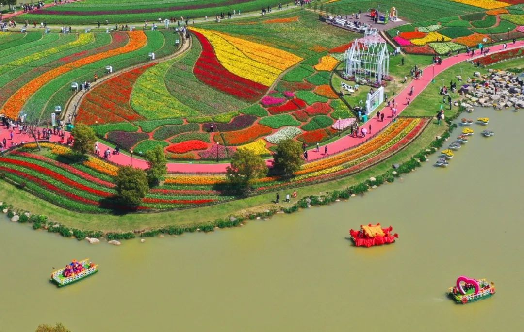 4月5日,游客在盐城市大丰区荷兰花海游览赏景.