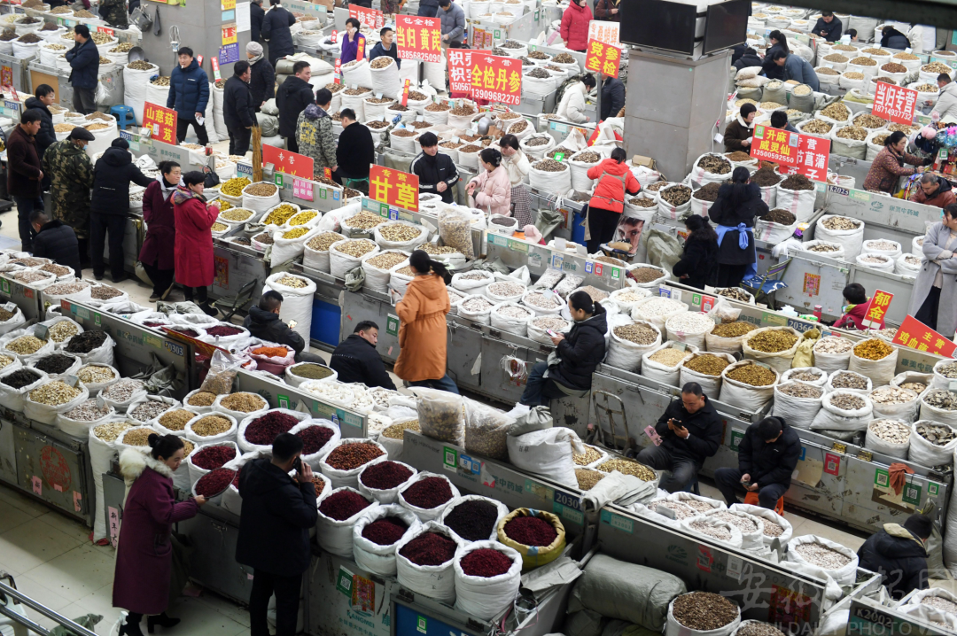 资料图:药商在亳州中药材专业市场内选购药材.