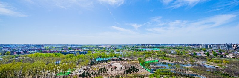 南苑森林湿地公园春花绽放,市民踏春赏花忙_新浪财经_新浪网