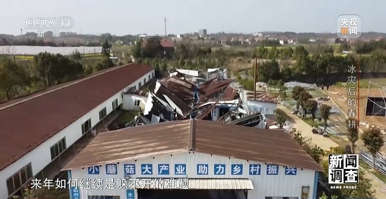 新闻调查丨冰灾之后春耕怎么样了