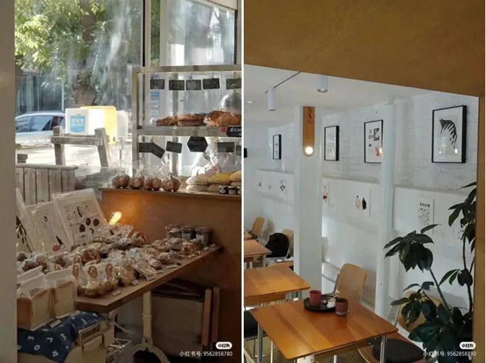 原来这些主理人品牌都是北京土著