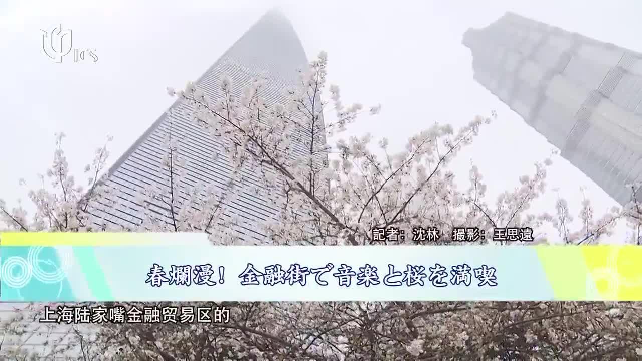20240407《中日新视界》:听音乐!赏樱花!金融城里春意阑珊