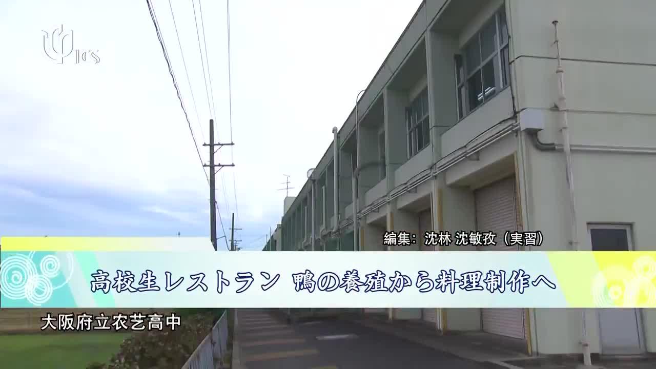 20240407《中日新视界》:高中生餐馆 养鸭做菜两不误