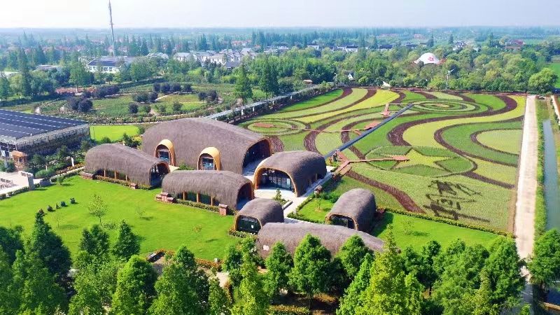 崇明区三星镇新安村稻田驿站成乡村旅游网红打卡点(受访者供图)