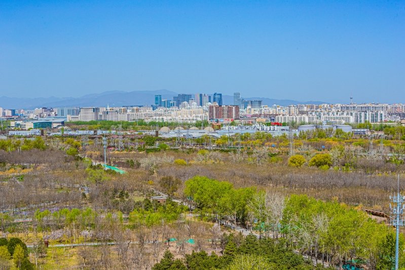 南苑森林湿地公园春花绽放,市民踏春赏花忙_新浪财经_新浪网