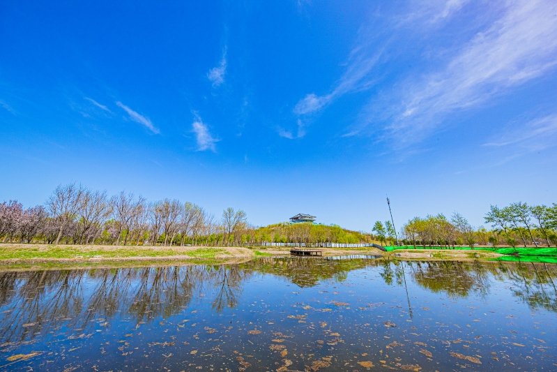 南苑森林湿地公园春花绽放,市民踏春赏花忙_新浪财经_新浪网