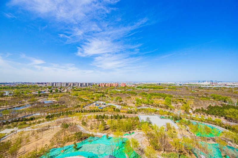 南苑森林湿地公园春花绽放,市民踏春赏花忙_新浪财经_新浪网