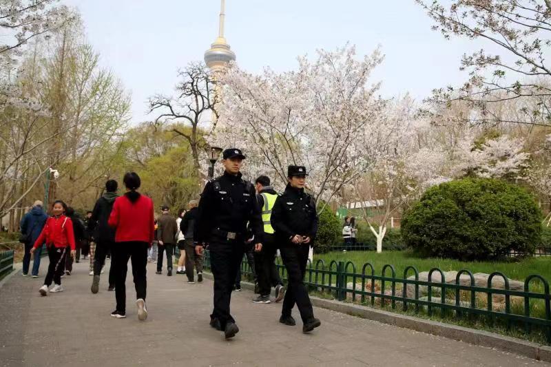 海淀警方开启春季"护游模式"|樱花_新浪财经_新浪网