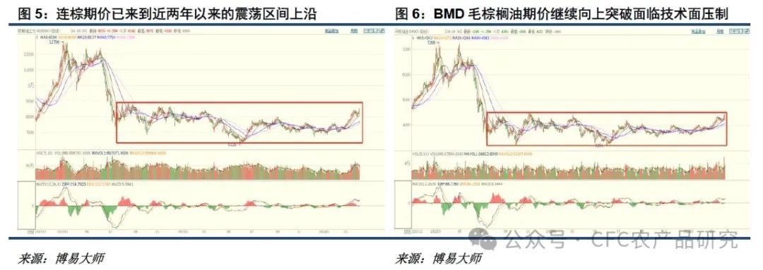【悠哉油斋】油脂走势的关键仍在棕榈油