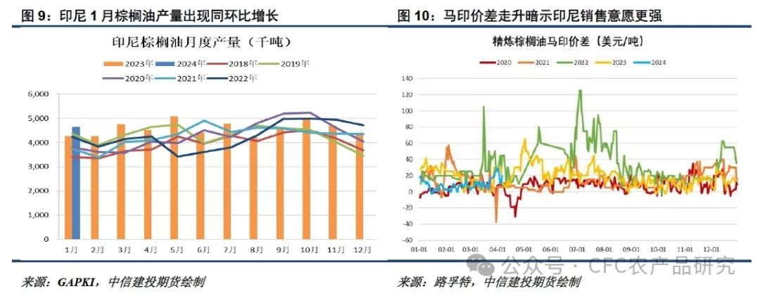 【悠哉油斋】油脂走势的关键仍在棕榈油