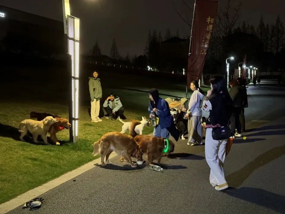 24小时开放上海公园夜游还有哪些不便新民晚报记者彻夜蹲点三座公园