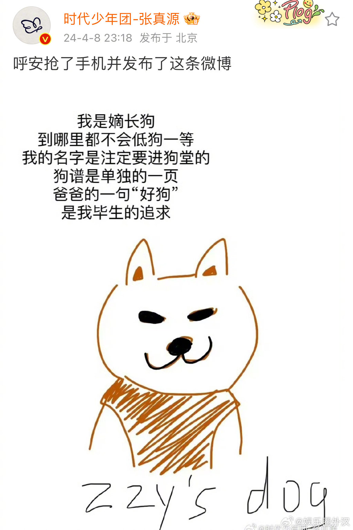 张真源发博庆祝呼安到家一周年🎉我是嫡长狗 到哪里都不会低狗一等……|网速|灵魂_新浪新闻