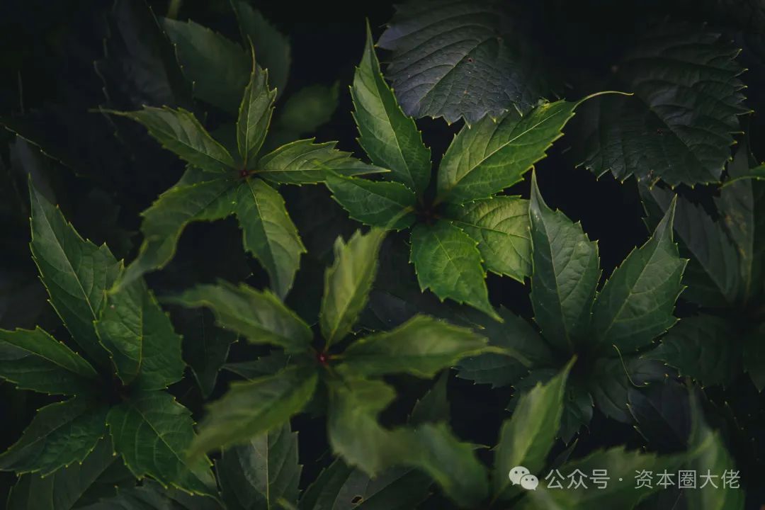 2万上门按摩技师撑起东郊到家ipo|ipo_新浪财经_新浪网