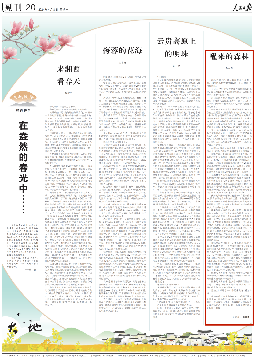 人民日报副刊醒来的森林
