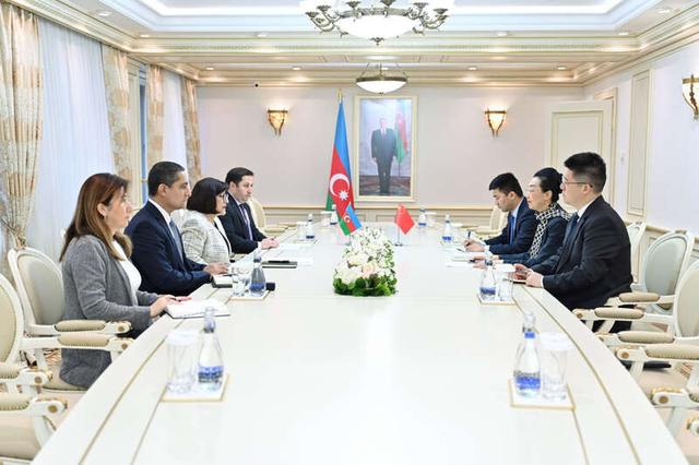 中国驻阿塞拜疆大使郭敏近日拜会阿塞拜疆国民会议主席加法罗娃。中国驻阿塞拜疆大使馆供图