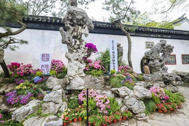 苏州园林景区清明假期人气爆棚|苏州园林_新浪财经_新浪网