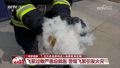 消防员实测杨柳絮有多易燃飞絮天需小心用火定期清理建筑物周围的