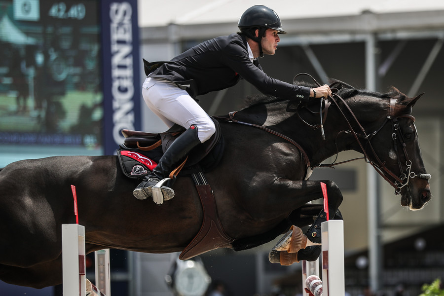 共赴"十年之约",2024上海浪琴环球马术冠军赛今日开票_新浪财经_新浪