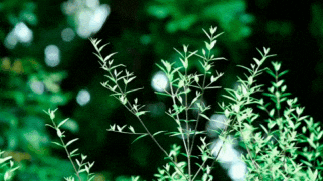 文 |雪百合1那段时间,因为彩礼的事,我家和秦瑞家闹翻了.