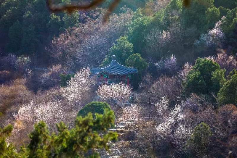 香山公园春季游园会邀您"上春山"_新浪财经_新浪网