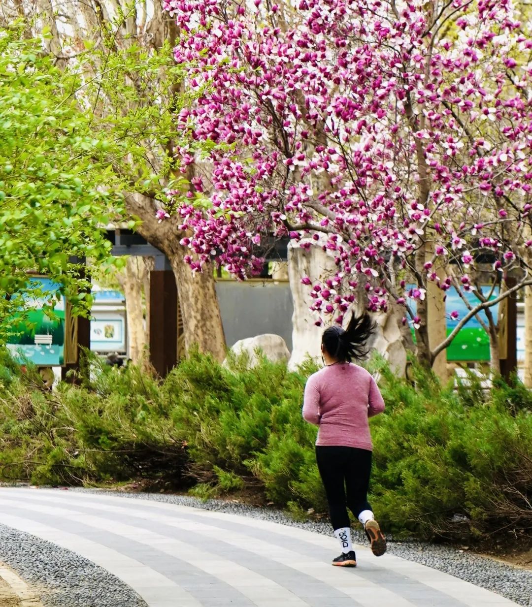 活力大屯若要写春天就不能只写春天