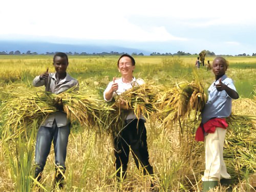 　　杨华德（中）与当地农户在布隆迪布琼布拉农村省Kirikula杂交水稻示范村。　资料图