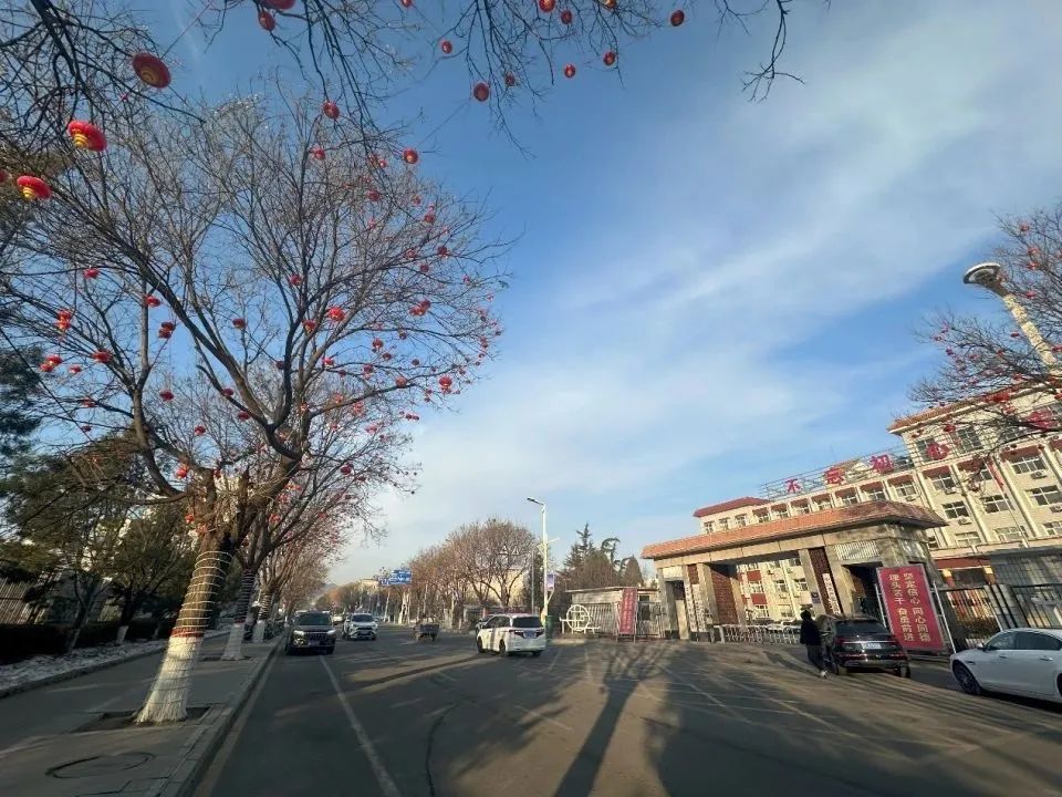 迁西县委门前,在迁西县城多条街道的树上都挂着满树的小红灯笼.