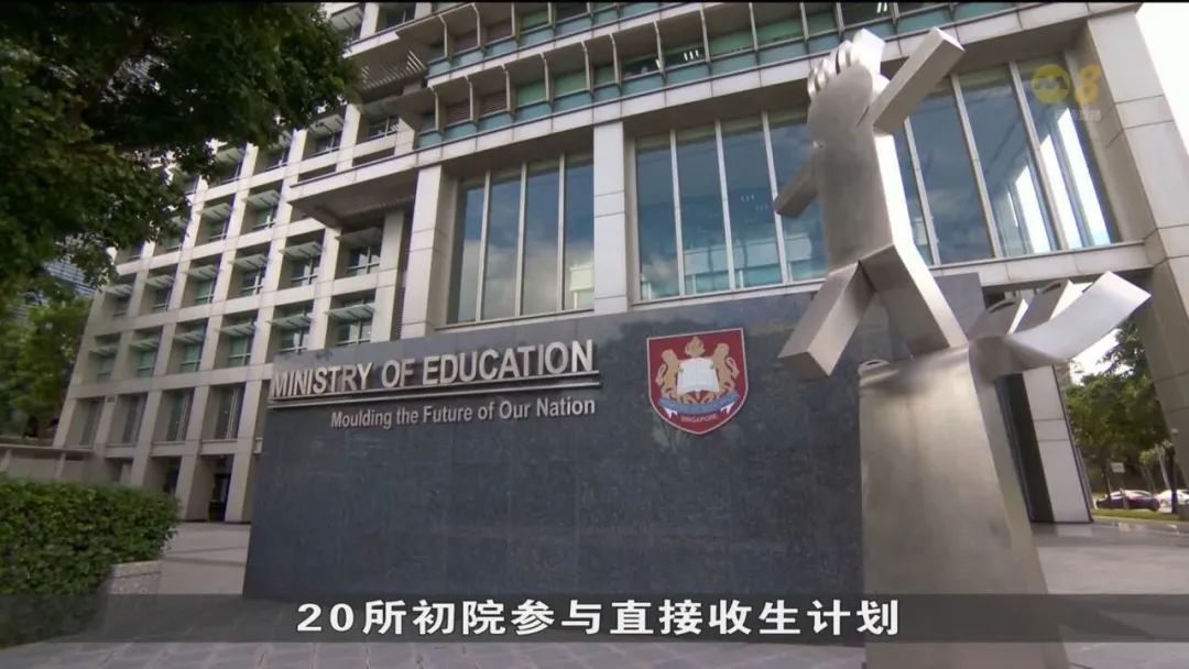 新加坡华人妈妈,批量生产「废掉的孩子」