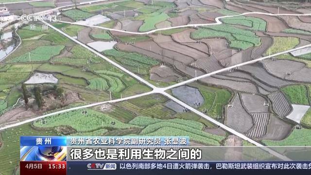 一起探寻传统农耕文化的生态智慧_新浪财经_新浪网