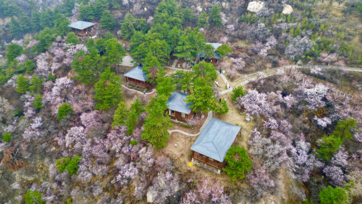 山西太原:踏青赏花热持续升温|朱兴鑫|太原市|玉泉山_新浪新闻