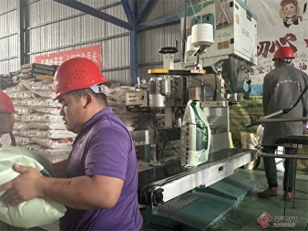 蕲春大米：绿色生态与品质生活并驾齐驱