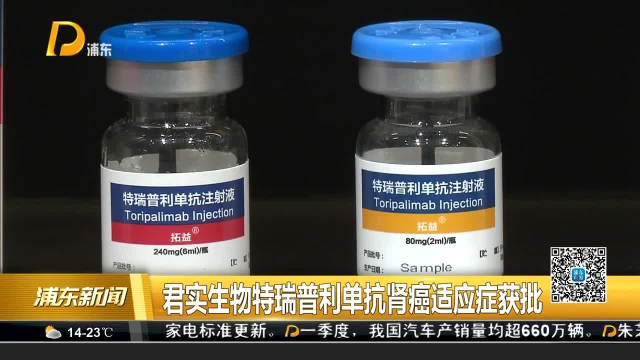 君实生物特瑞普利单抗肾癌适应症获批