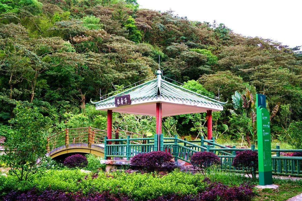 高明皂幕山.图源:佛山新闻网