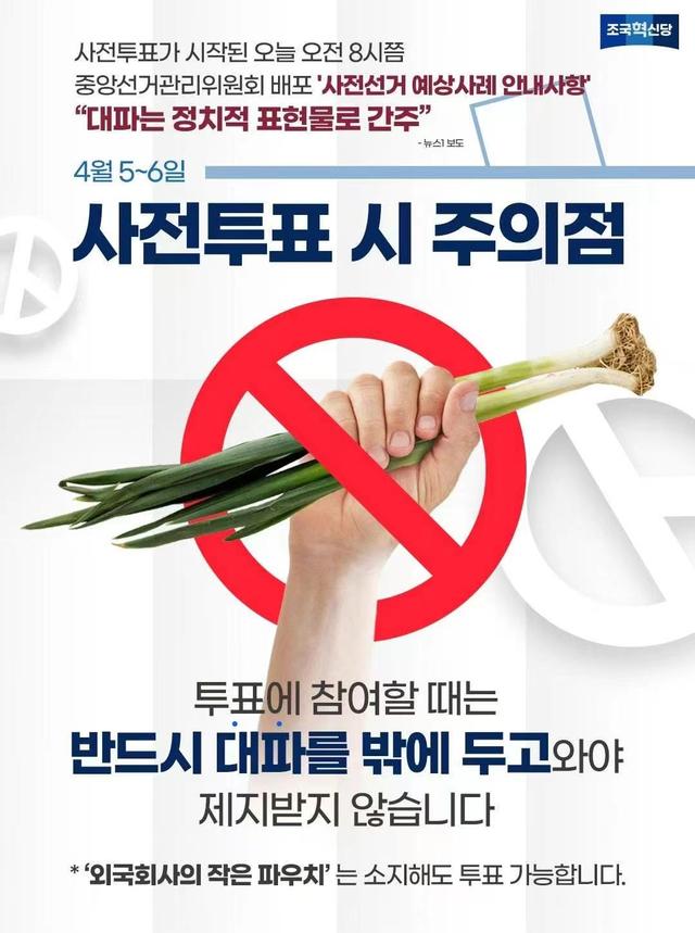 祖国革新党竞选活动海报，“提醒”：投票时不要携带大葱。来源：受访者