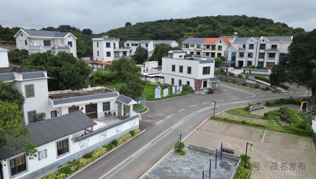 高州市根子镇桥头村.