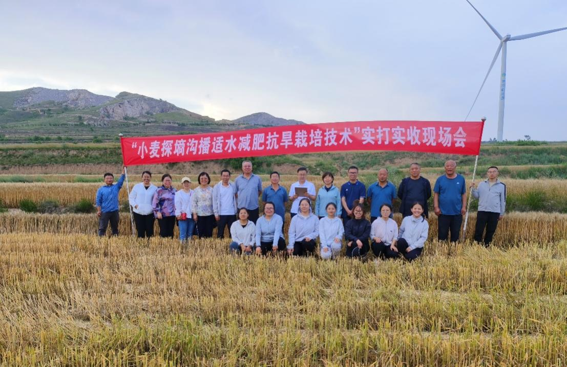 闻喜小麦科技小院开展旱地小麦测产工作，旱地小麦产量均达500公斤以上。